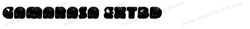 Gamarasa ExtBd字体转换